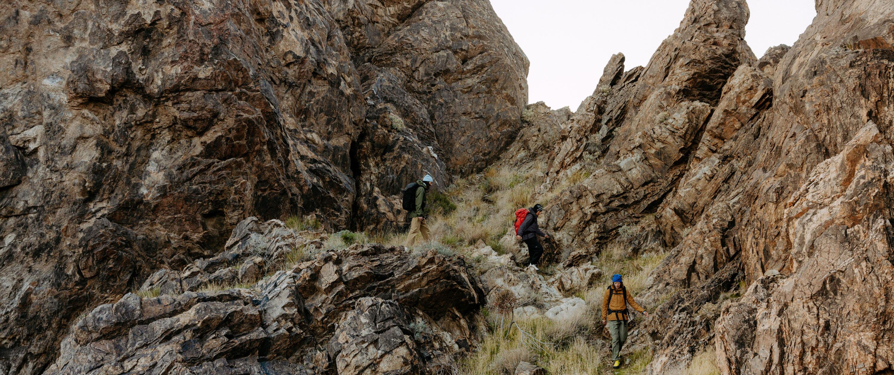 Arc'teryx Banner